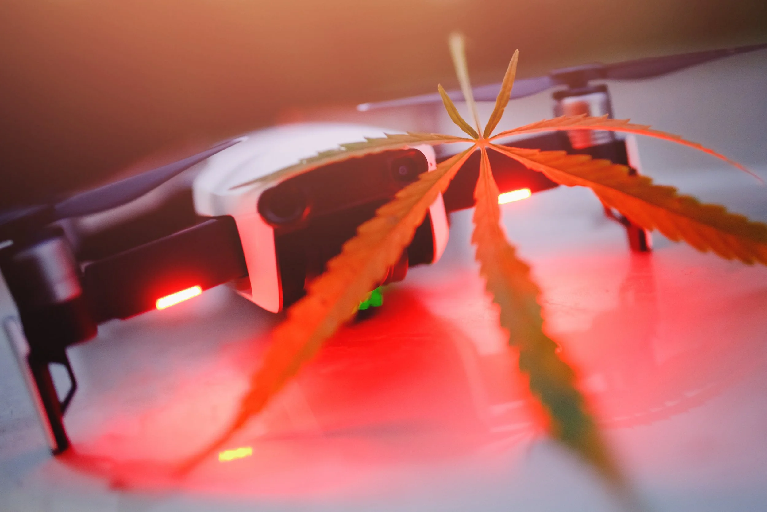 Integrating Robotics for Efficient Cannabis Packaging Lines
