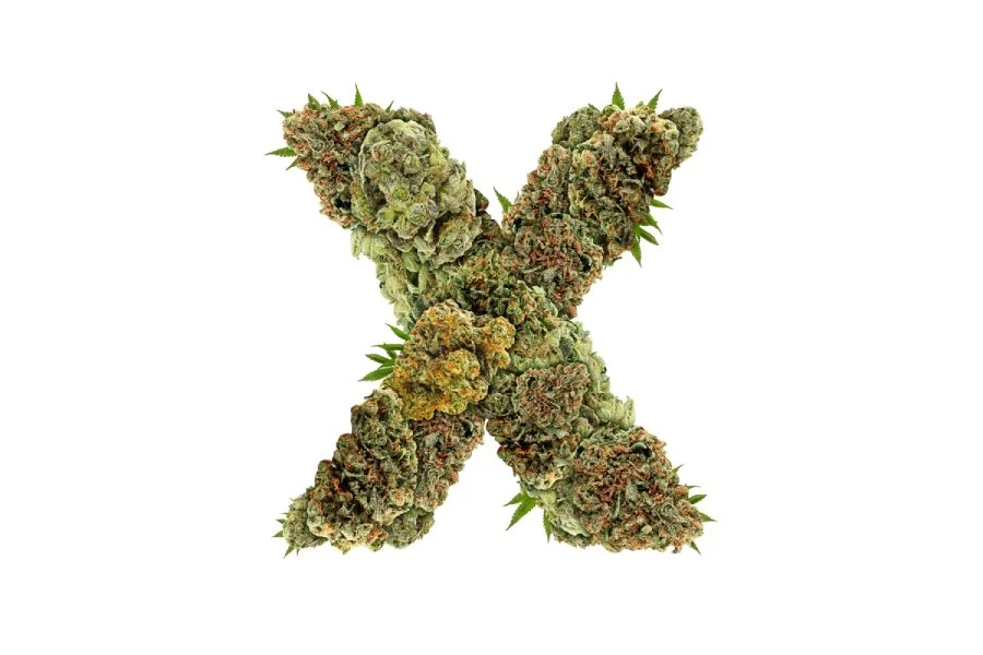 THC X: What Is It & How It Differs from Other Cannabinoids