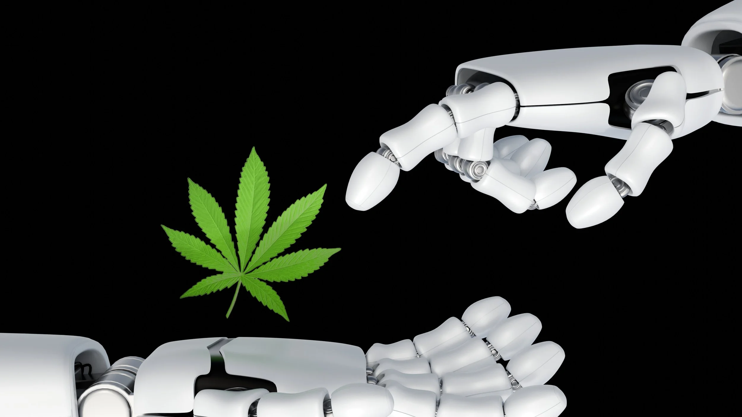 Build a Cannabis Robotics Training Program That Works