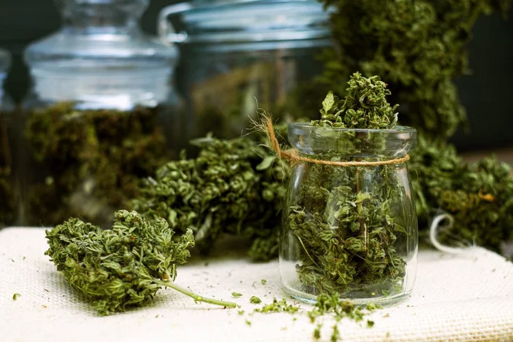 Do You Have to Decarb Weed to Make Brownies? Unlock Potency