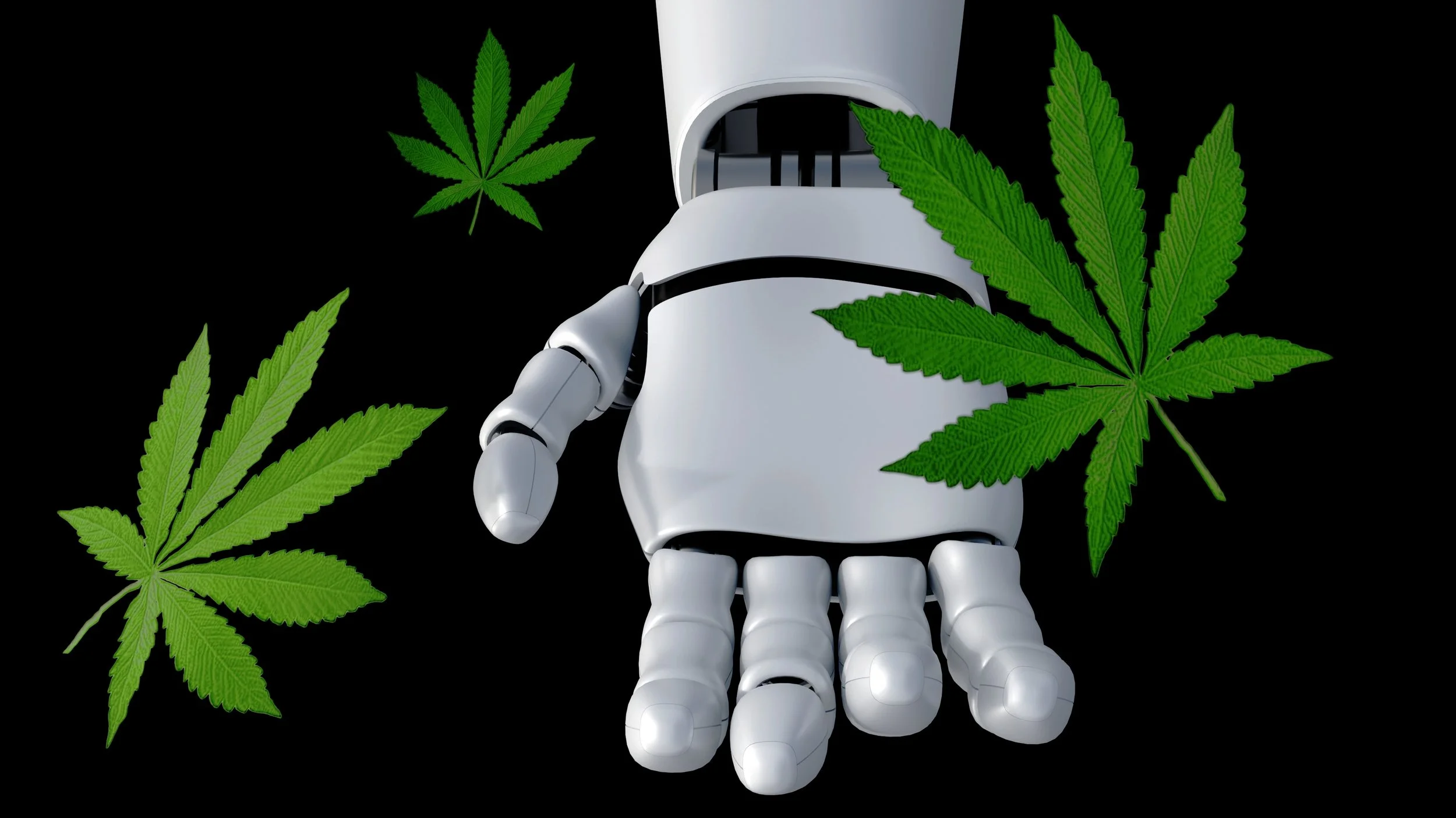 What Custom Robotics Really Means in Your Packaging Line