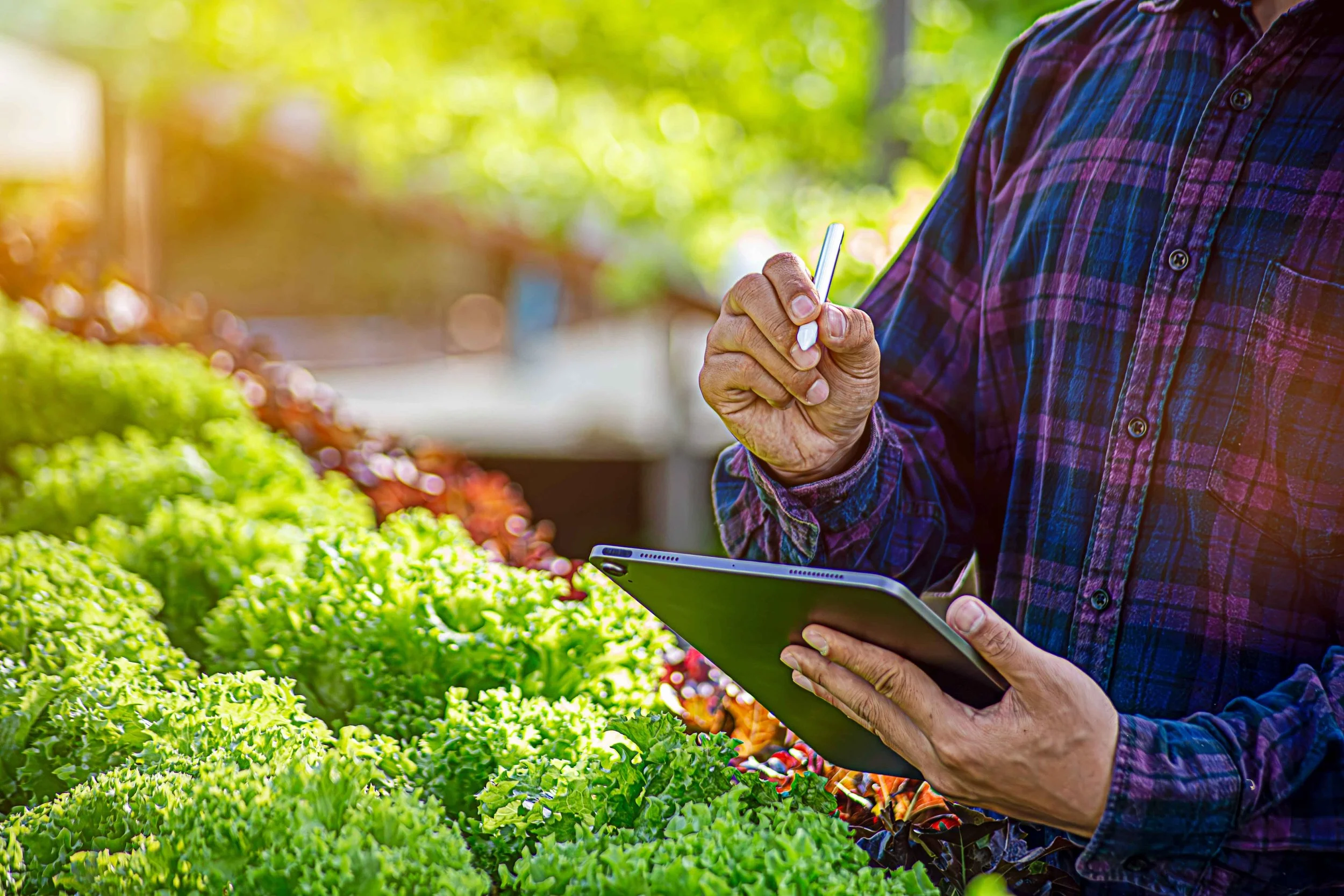 Robotics Consultant for a Cannabis Facility