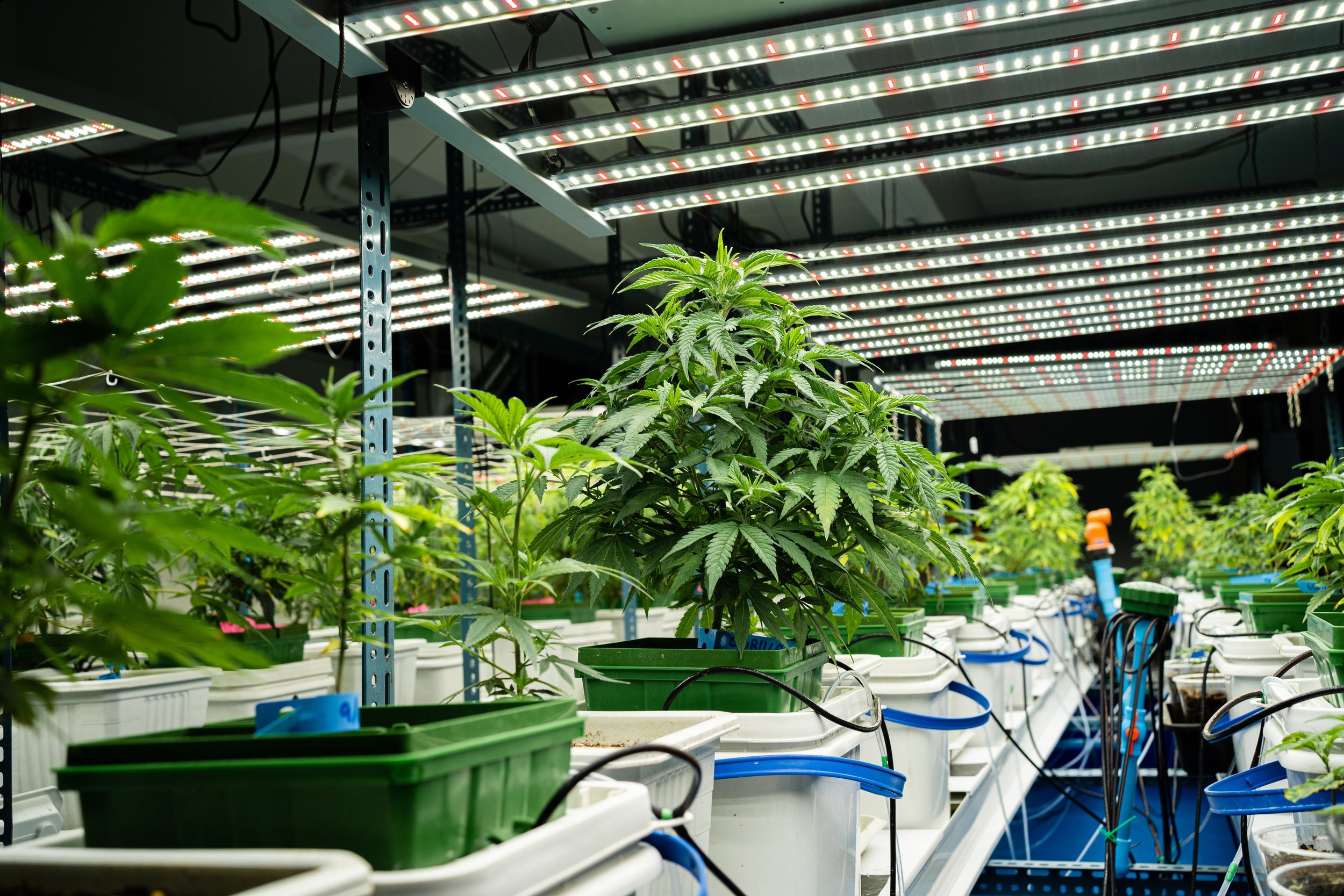 Engineer Your Way to Zero Downtime