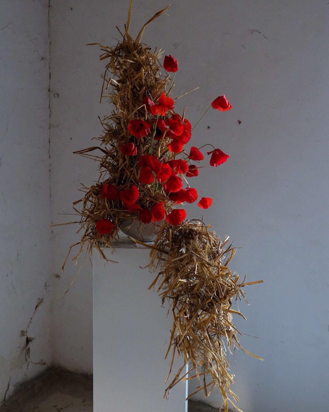 STRAW &amp; POPPY | I made this small installation a couple of weeks ago when poppy season began. 
I just love the contrast between the raw, rigid straw and the delicate, airy freshness of the poppies. 

#organicflowers #floraldesigns #weddingflowers