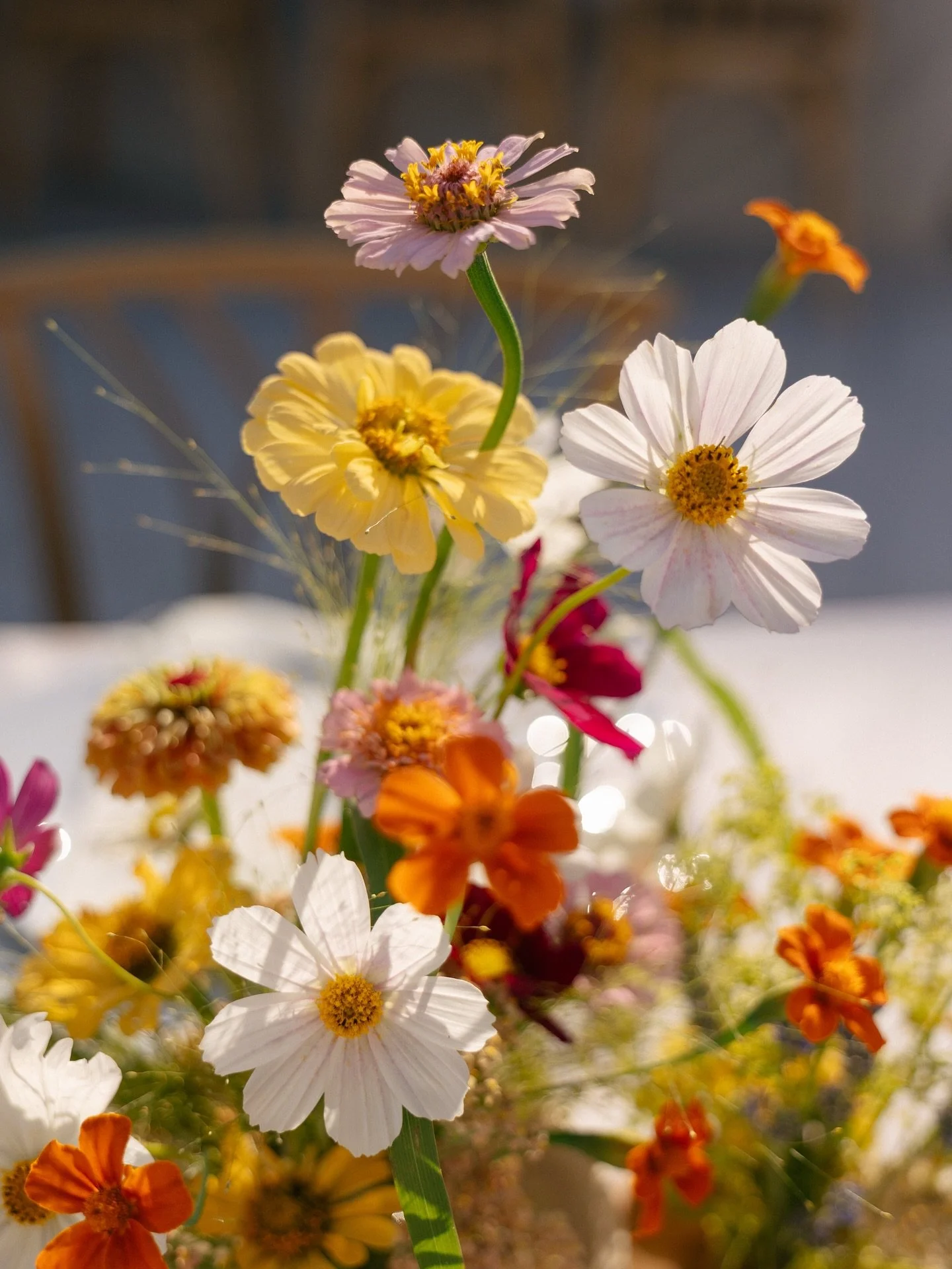Summer flowers for Jane &amp; Sam&rsquo;s table

📸 @hugocoelhophotography 

@vowsportugal 
@weare.flo 
@baldio.food 
@quintadaconceicao