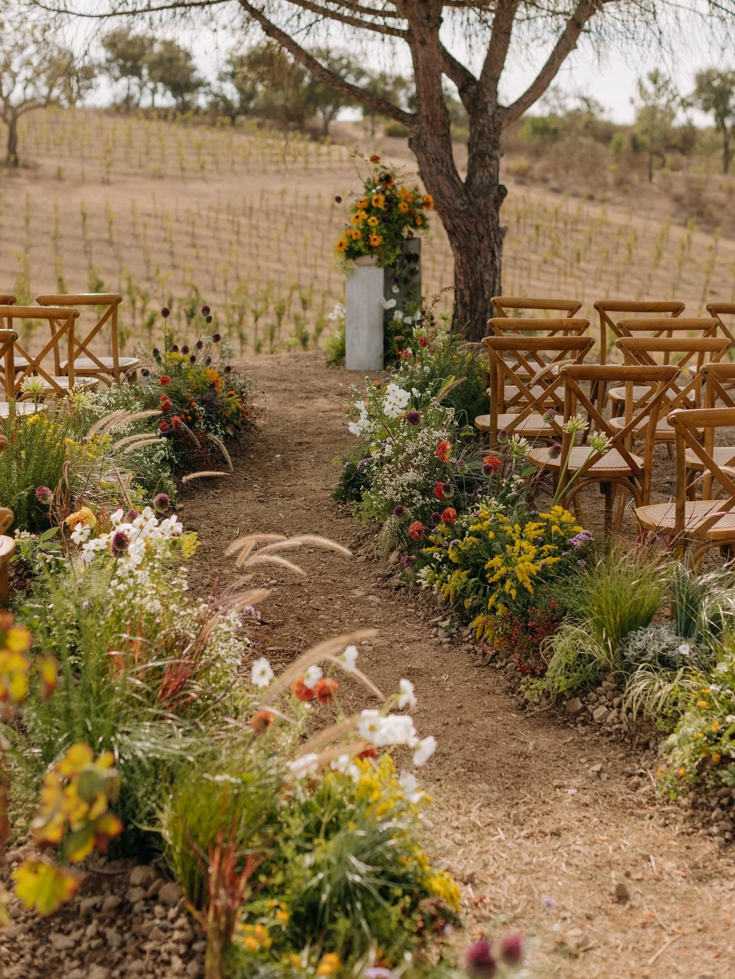 The perfect ceremony setting.
Where the bold concrete lines of the buildings met the Mediterranean flora and the raw beauty of the vineyards at that time of year. 

Our last ceremony of the season couldn&rsquo;t have been more special.

Florals @wear