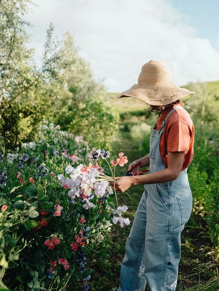 As wedding season ends, our field takes its quiet pause. 

From seed to vase, every bloom we grew found its way into our couples&rsquo; special day.

Thank you for letting us be part of your love stories.

📸 @marinaandrafael.photo 

#farmerflorist #