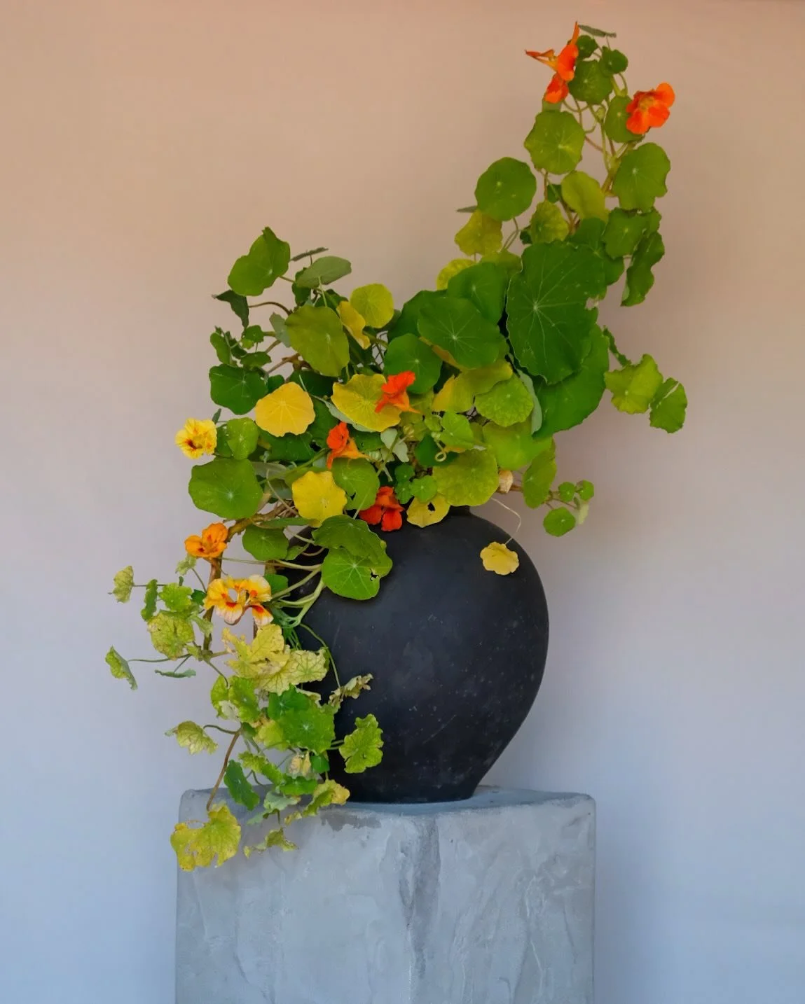 Perfect imperfections.
Nasturtiums, just doing their own thing.