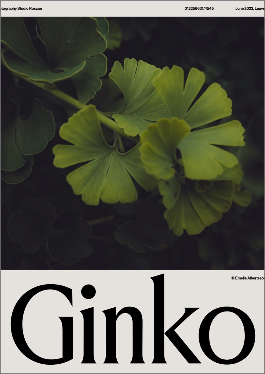 Poster Design - Ginko
