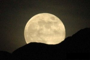 The Magician And The Moon