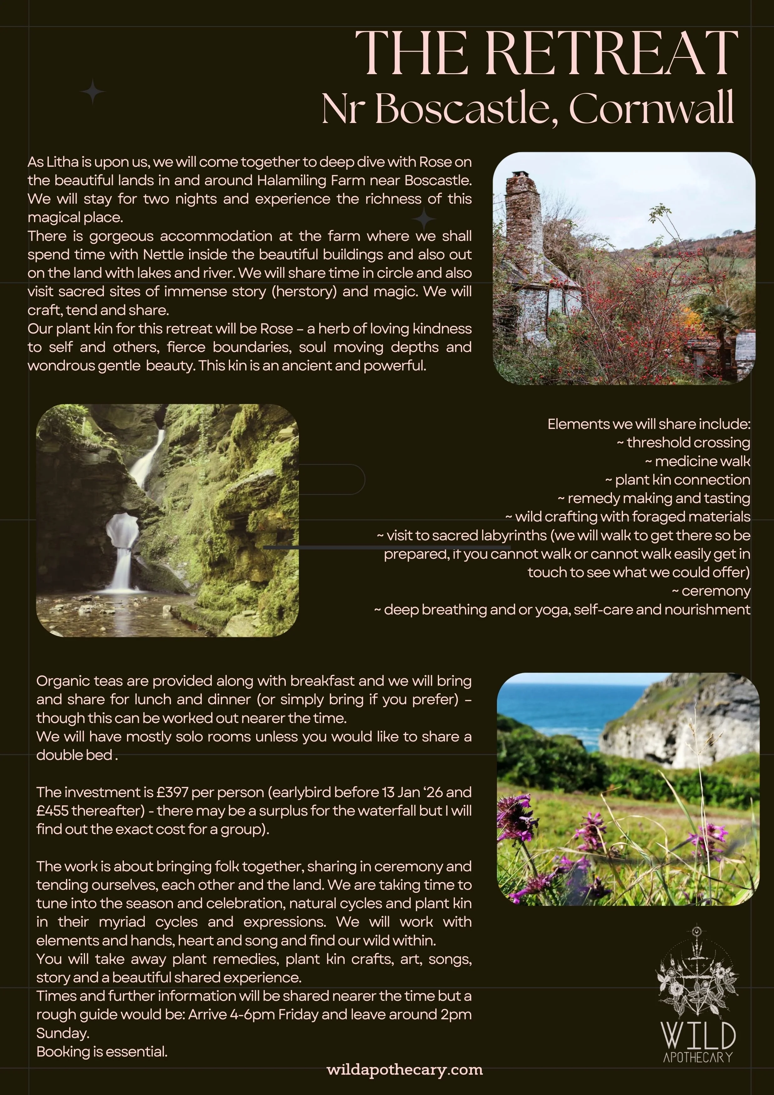 nettle deep dive retreat (6).jpg