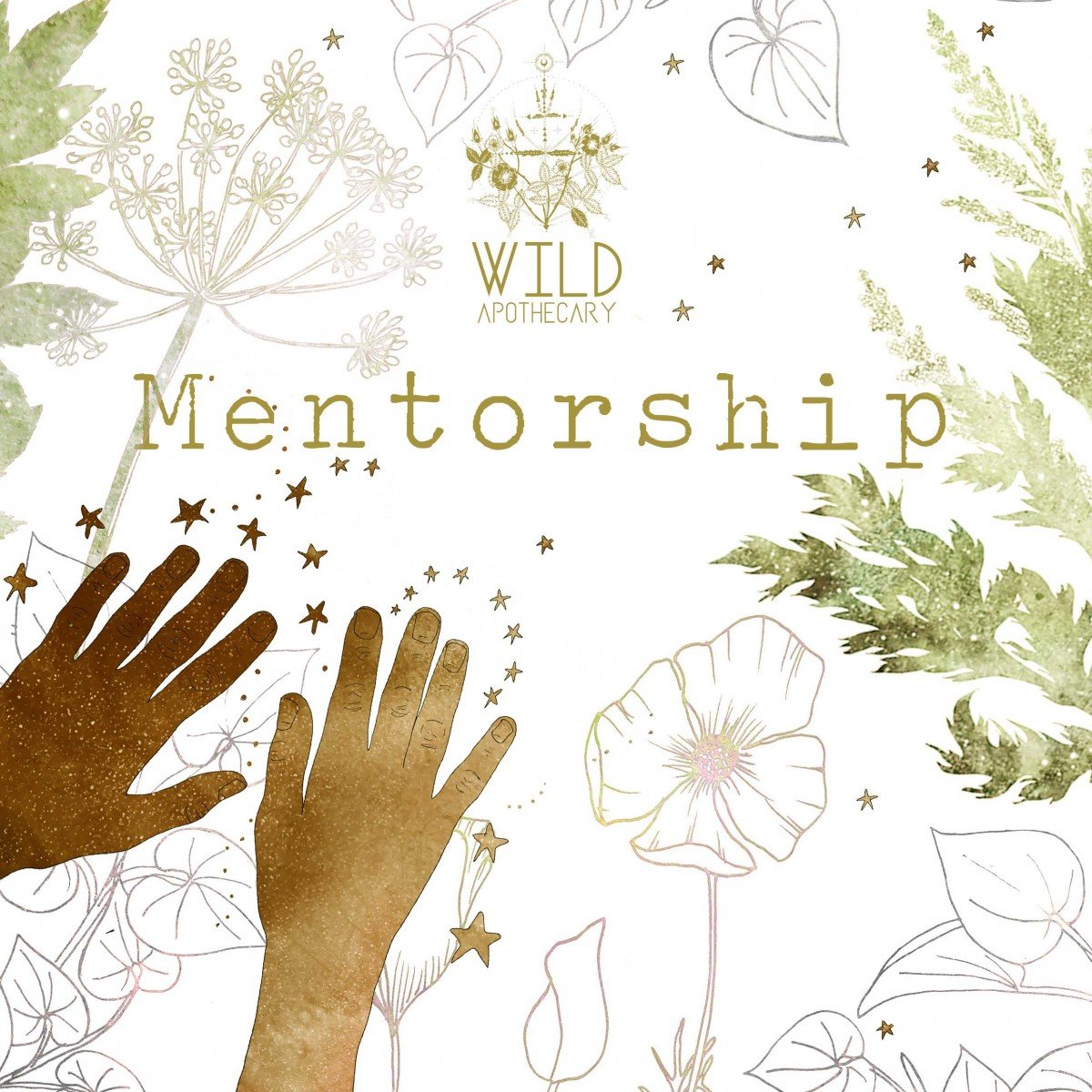 mentorship-copy.jpg