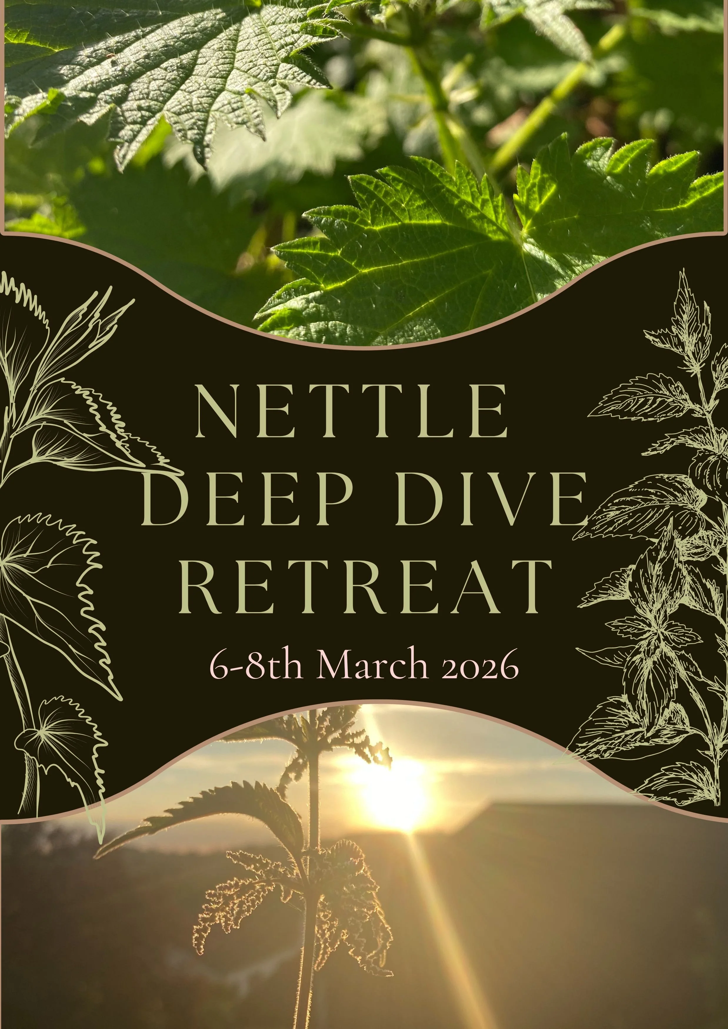 nettle deep dive retreat (1).jpg