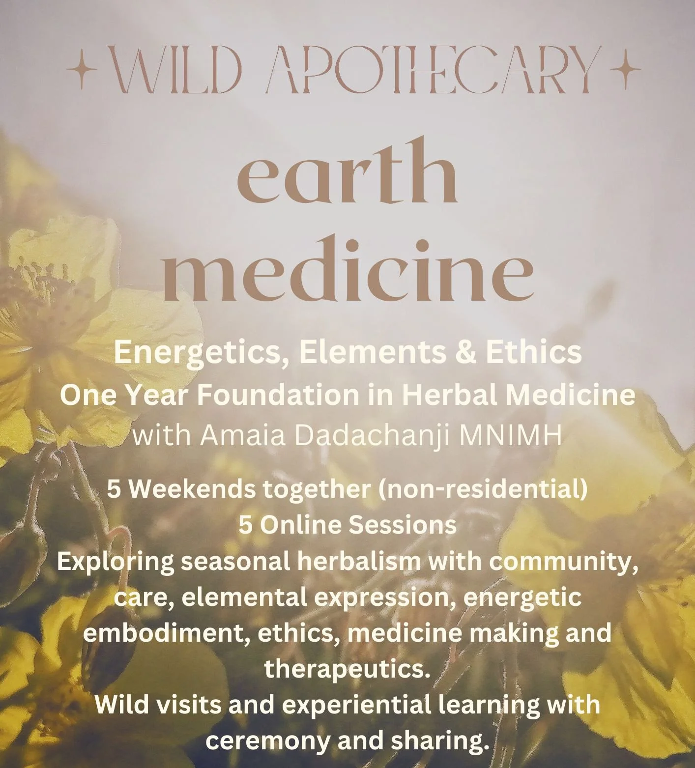 Herbal Medicine Foundation Course Sept 2026