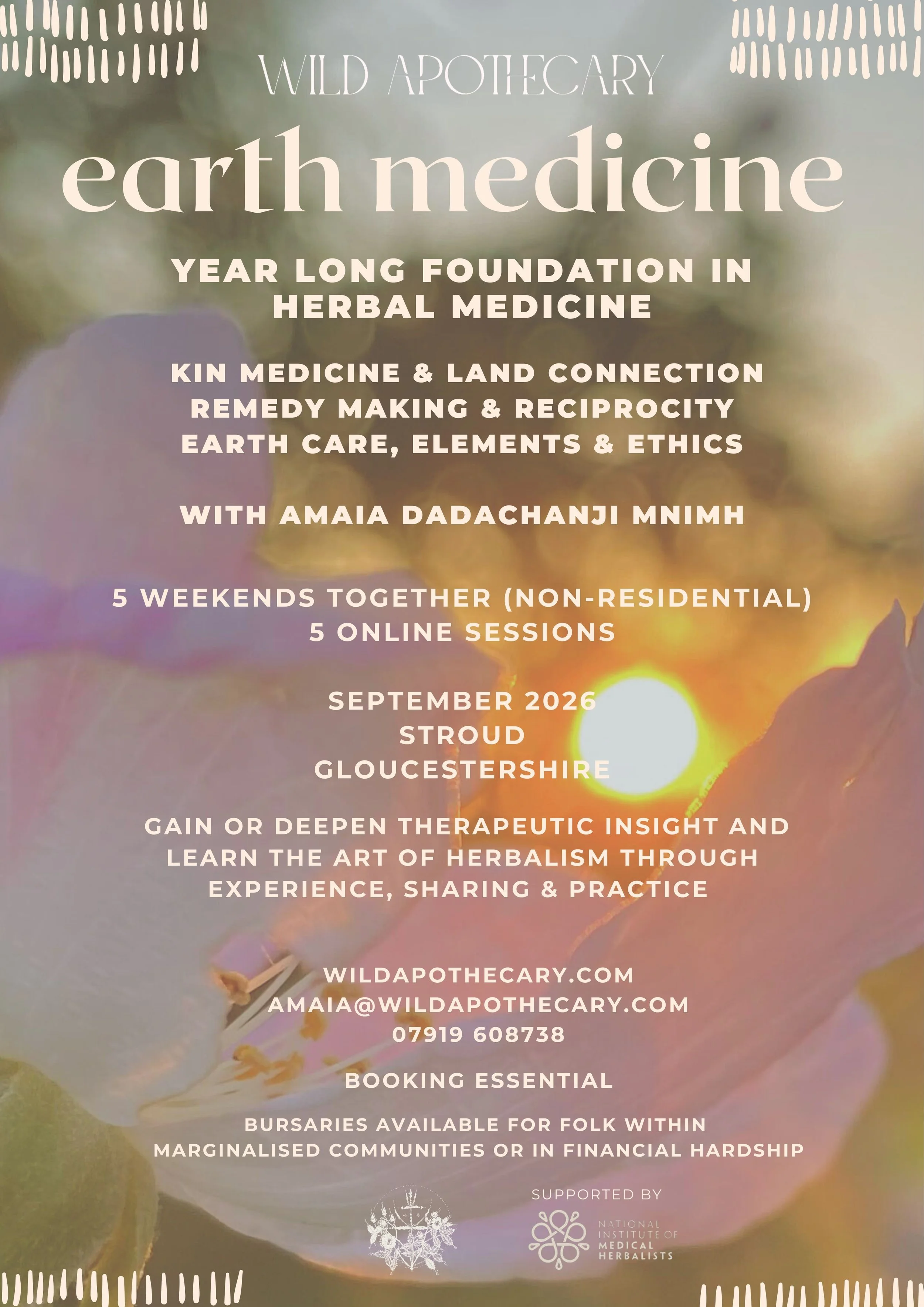 Earth Medicine 1 - Herbal Medicine Foundation Course Sept 2026