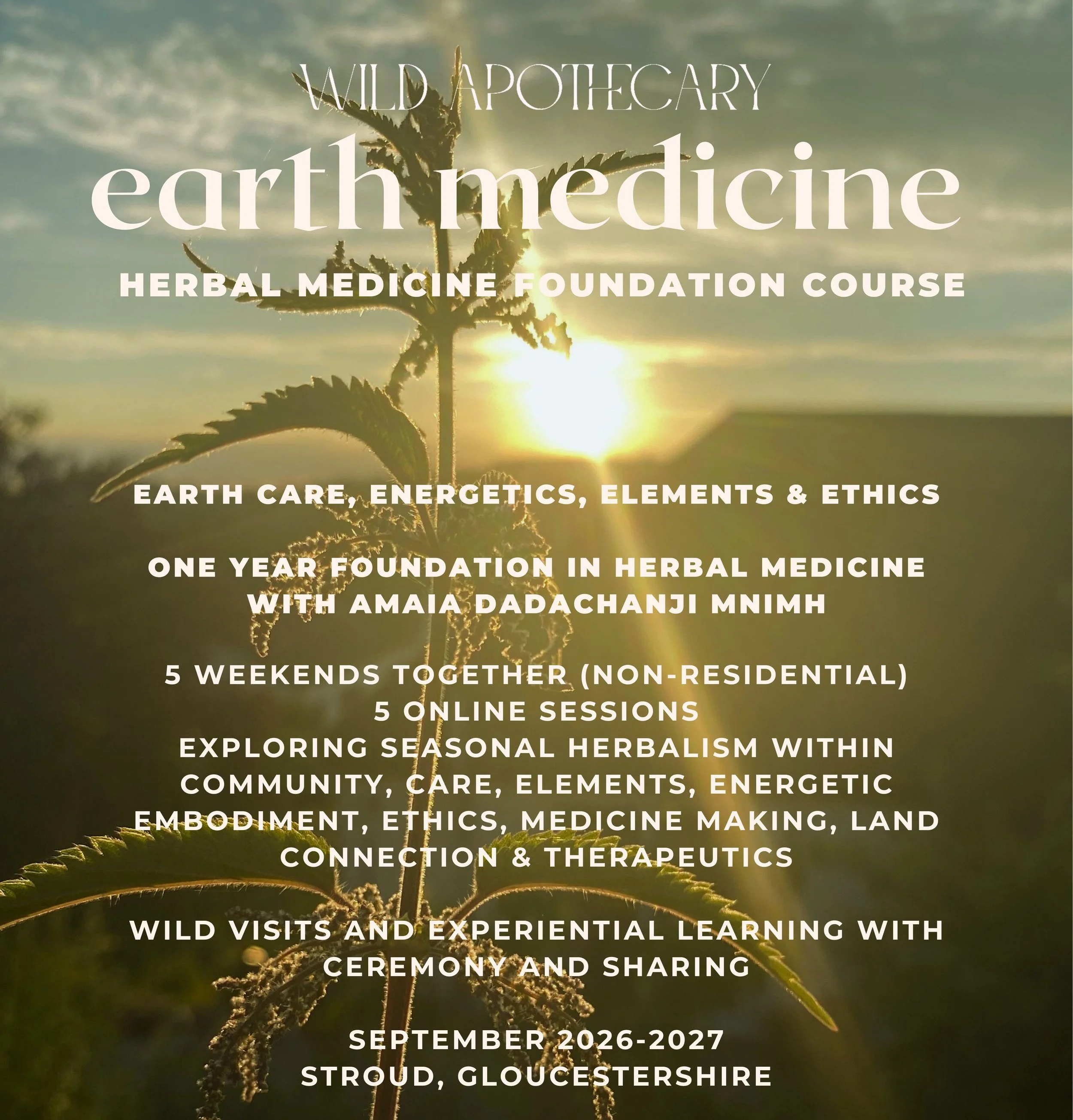 EM LEvel 1 cropped(1).jpg