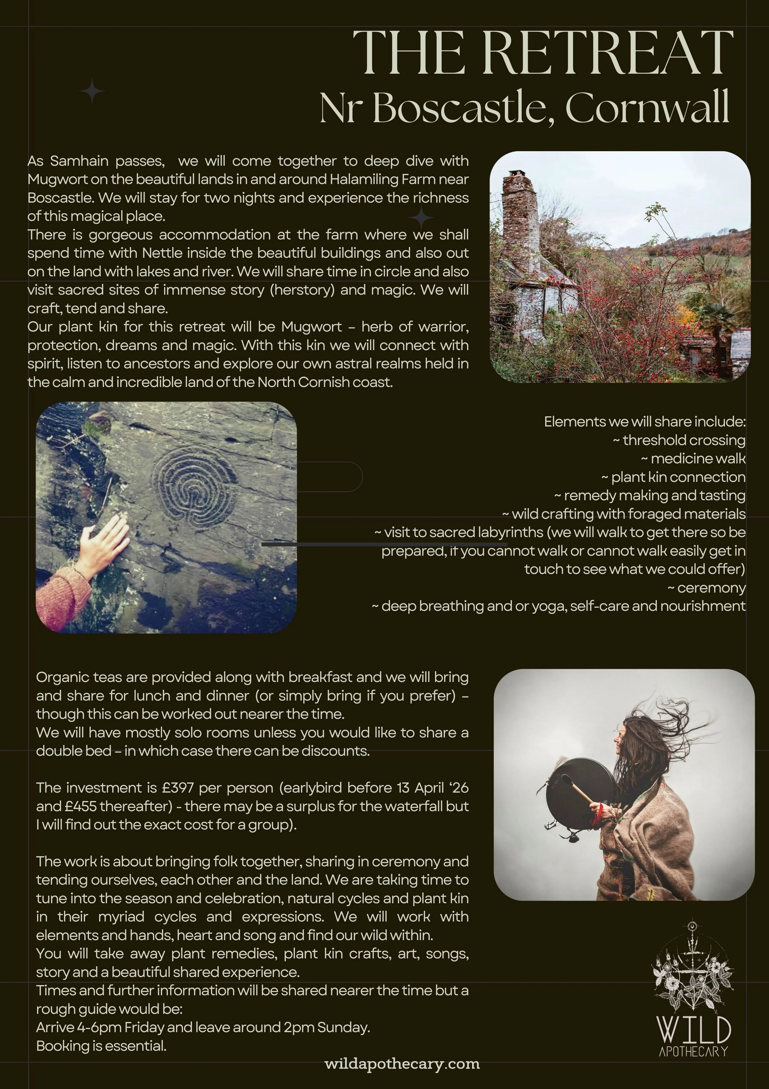 nettle deep dive retreat (7).jpg