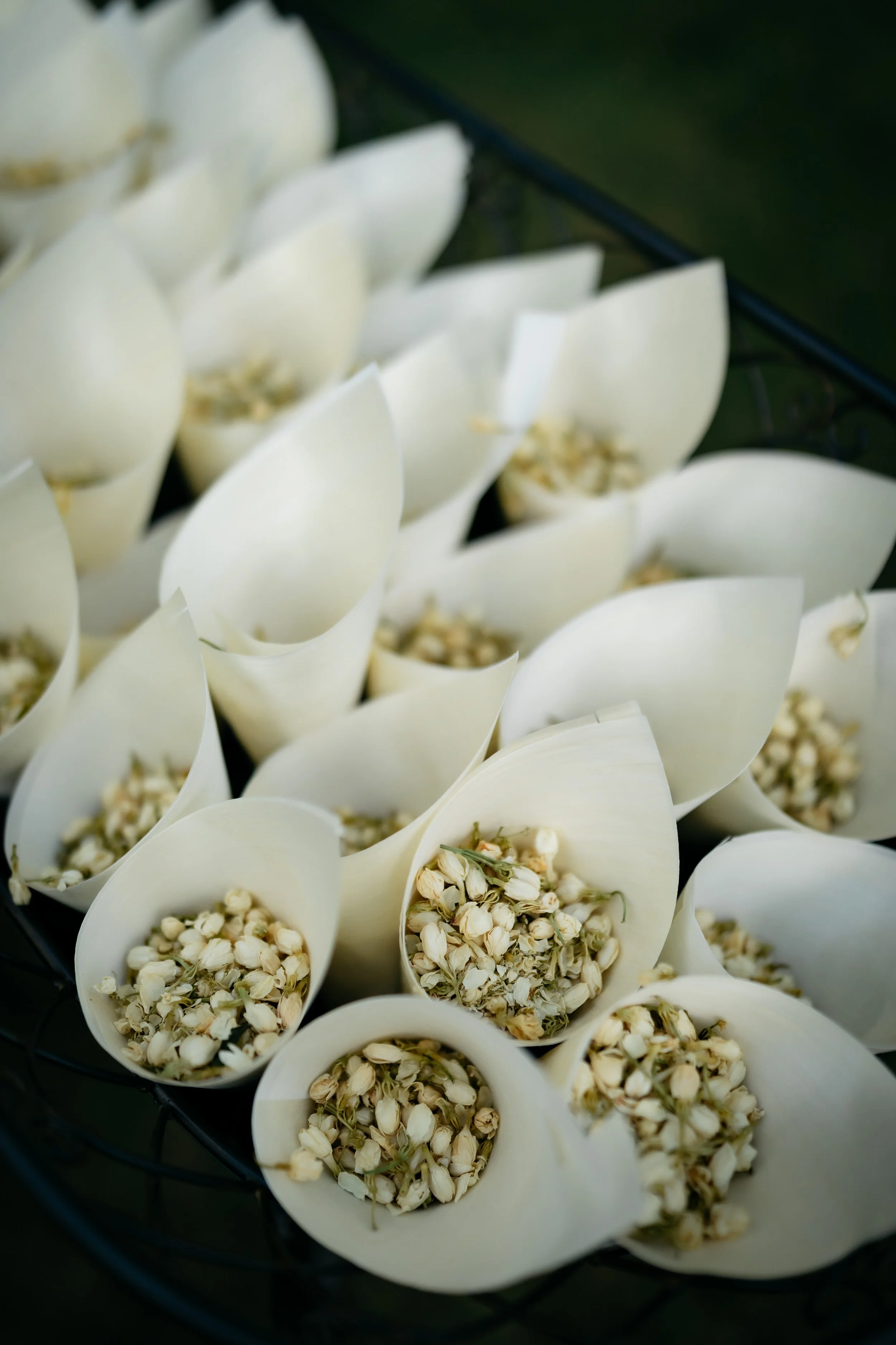 WEDDINGS_BY_HEATHER_PAULINE_0020.jpg