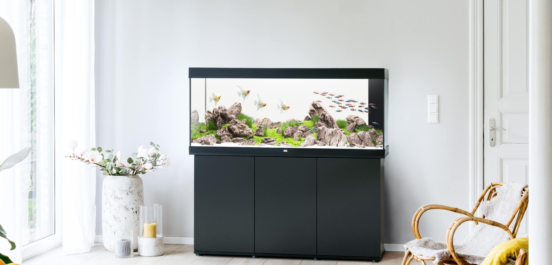 Modern living room with large fish tank, decorative plants, and a wicker chair with a blanket.