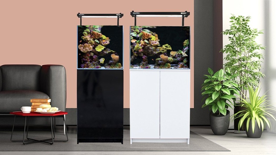 Living room scene with two vertical fish tanks on stands, one black and one white, showcasing colorful coral reefs. A modern black sofa is on the left with a red coffee table holding a cup and snacks. Two green potted plants are positioned on the right, all against a peach-colored wall.