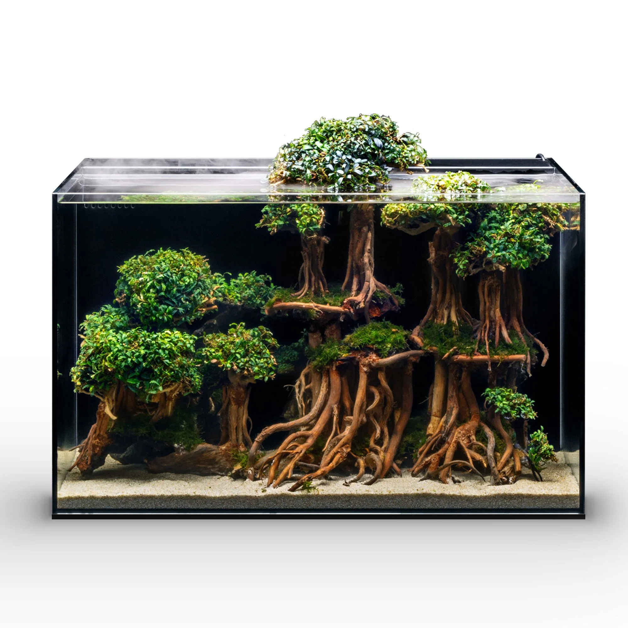 UNSFMD60 Dual All In One Tank - Image Stack_00_Main Image.jpg