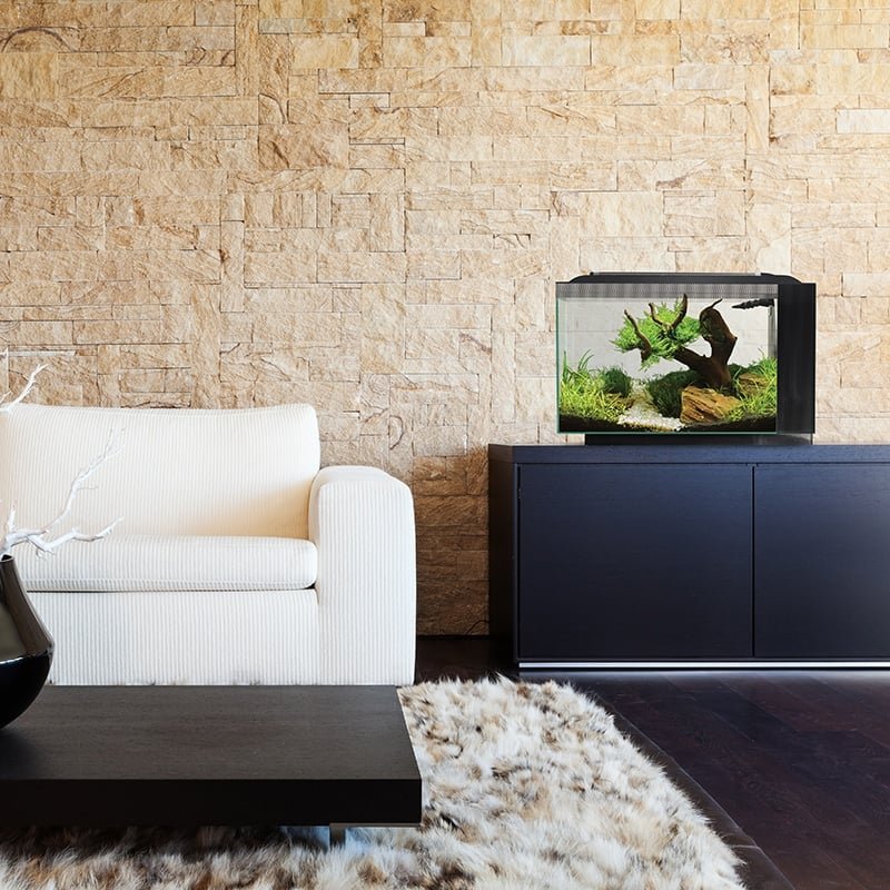 How to Set Up a New Aquarium: