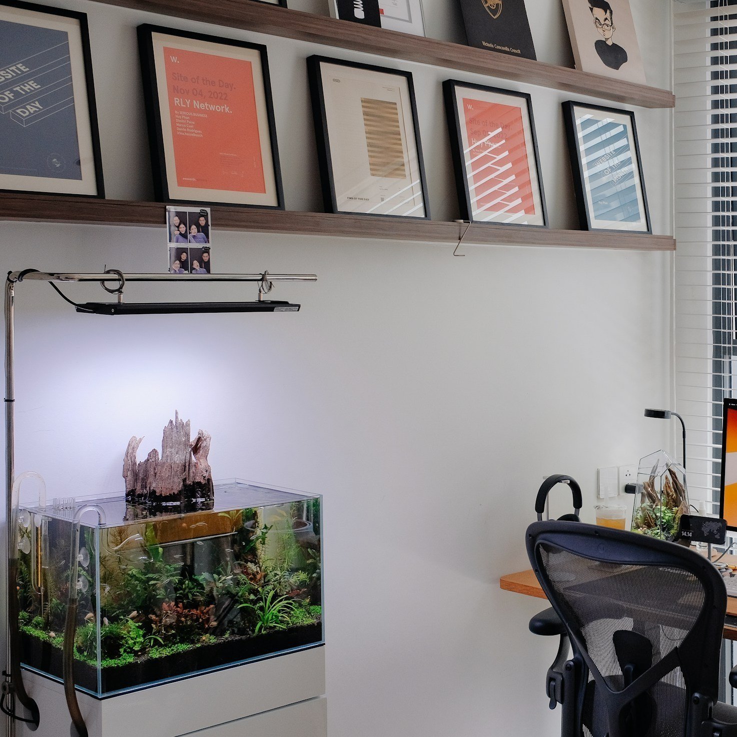 Cycling Your New Aquarium