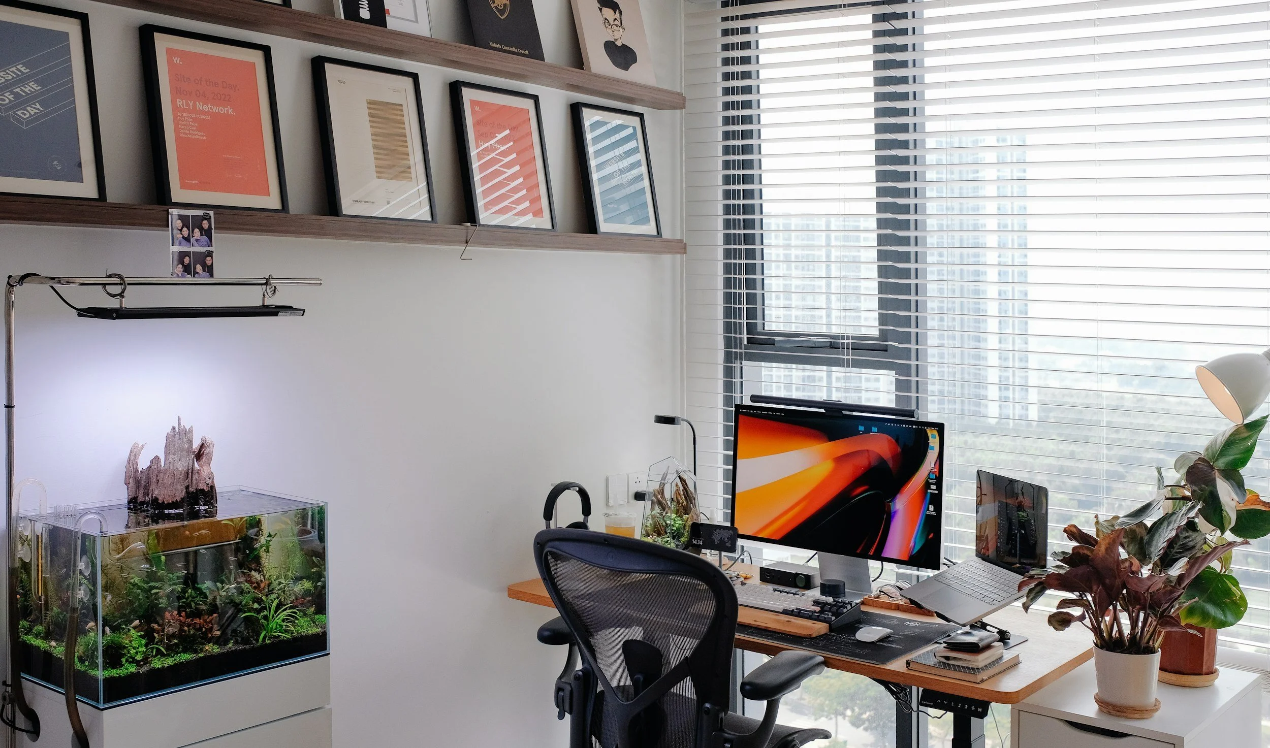 We offer a comprehensive selection of packages to suit every budget — from flexible, contract‑free options to fully managed aquarium setups available with 12‑, 24‑, and 36‑month plans.