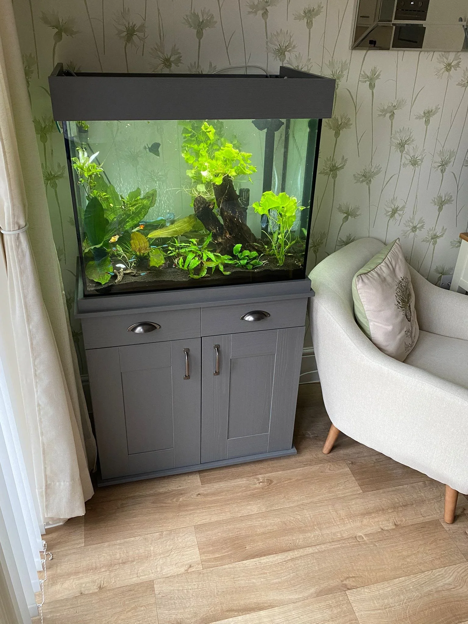 Aquarium with plants and fish in a living room corner, next to a gray cabinet and beige armchair.
