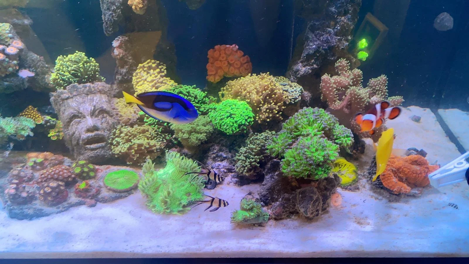 WhatsApp Image 2021-07-01 at 16.48.57.jpeg