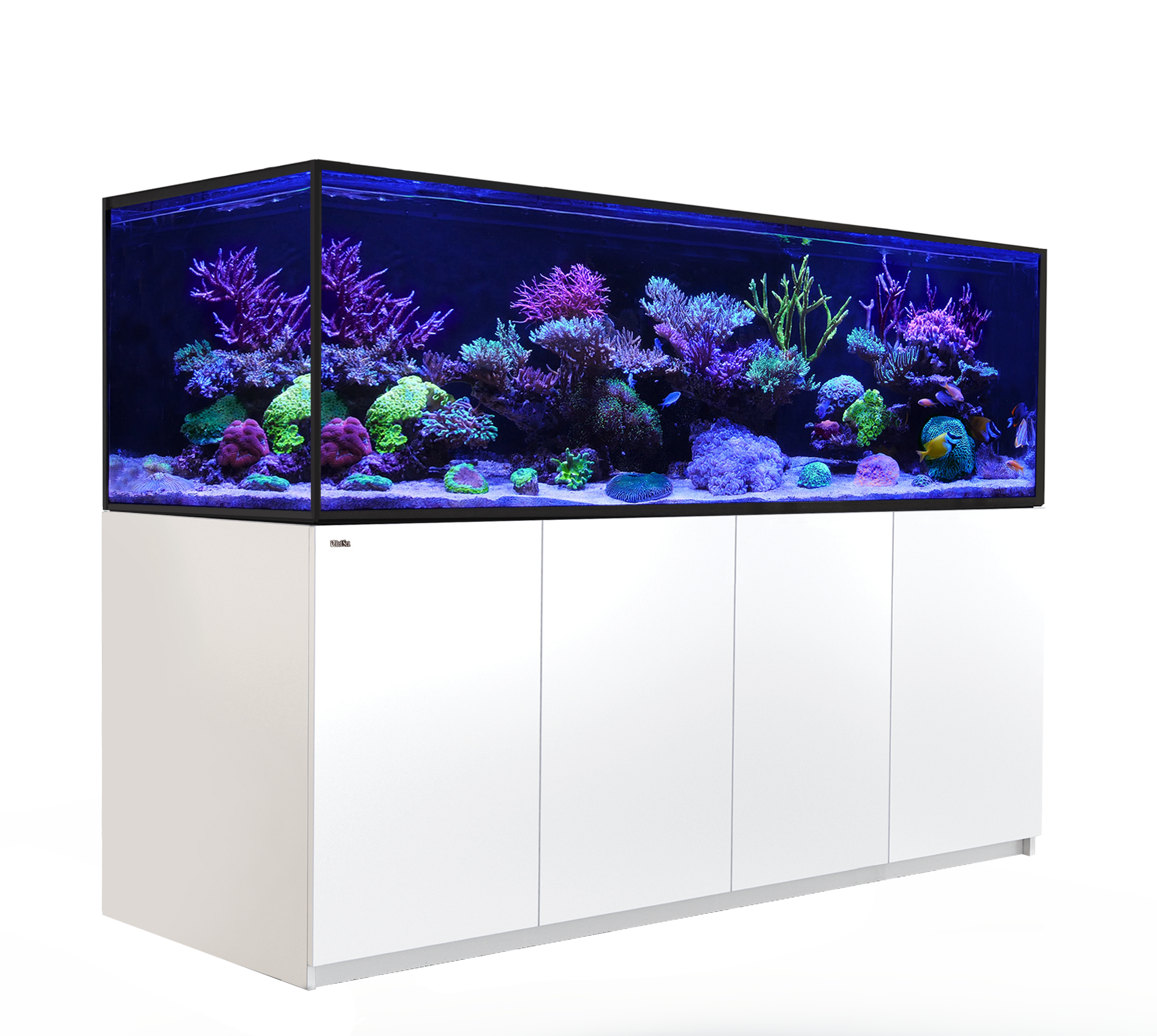 REEFER-S_1000_White (2).png