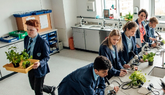Students in a classroom working with plants and gardening supplies.