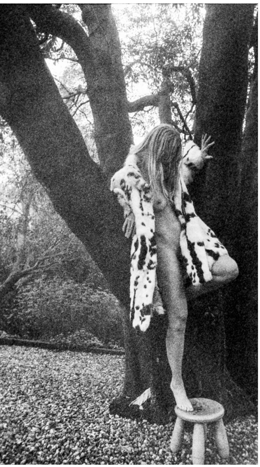 Screenshot 2023-03-15 at 15.38.47.png