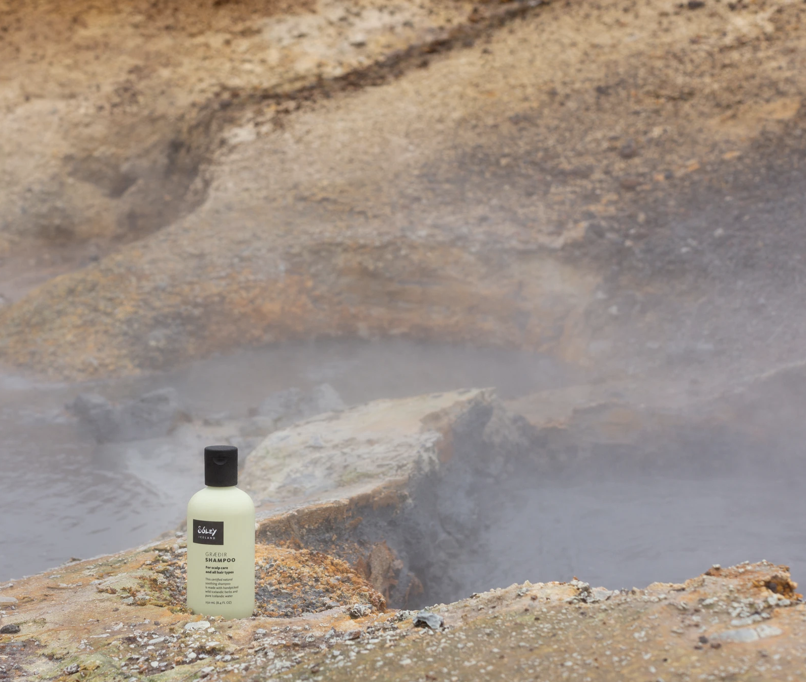 Screenshot 2023-03-14 at 13.55.14.png