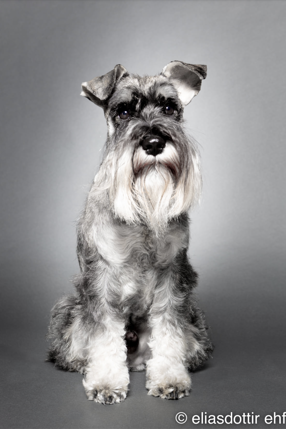 Screenshot 2023-03-17 at 15.56.51.png