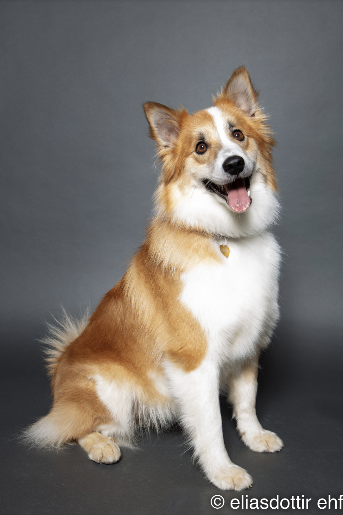 Screenshot 2023-03-17 at 15.55.56.png