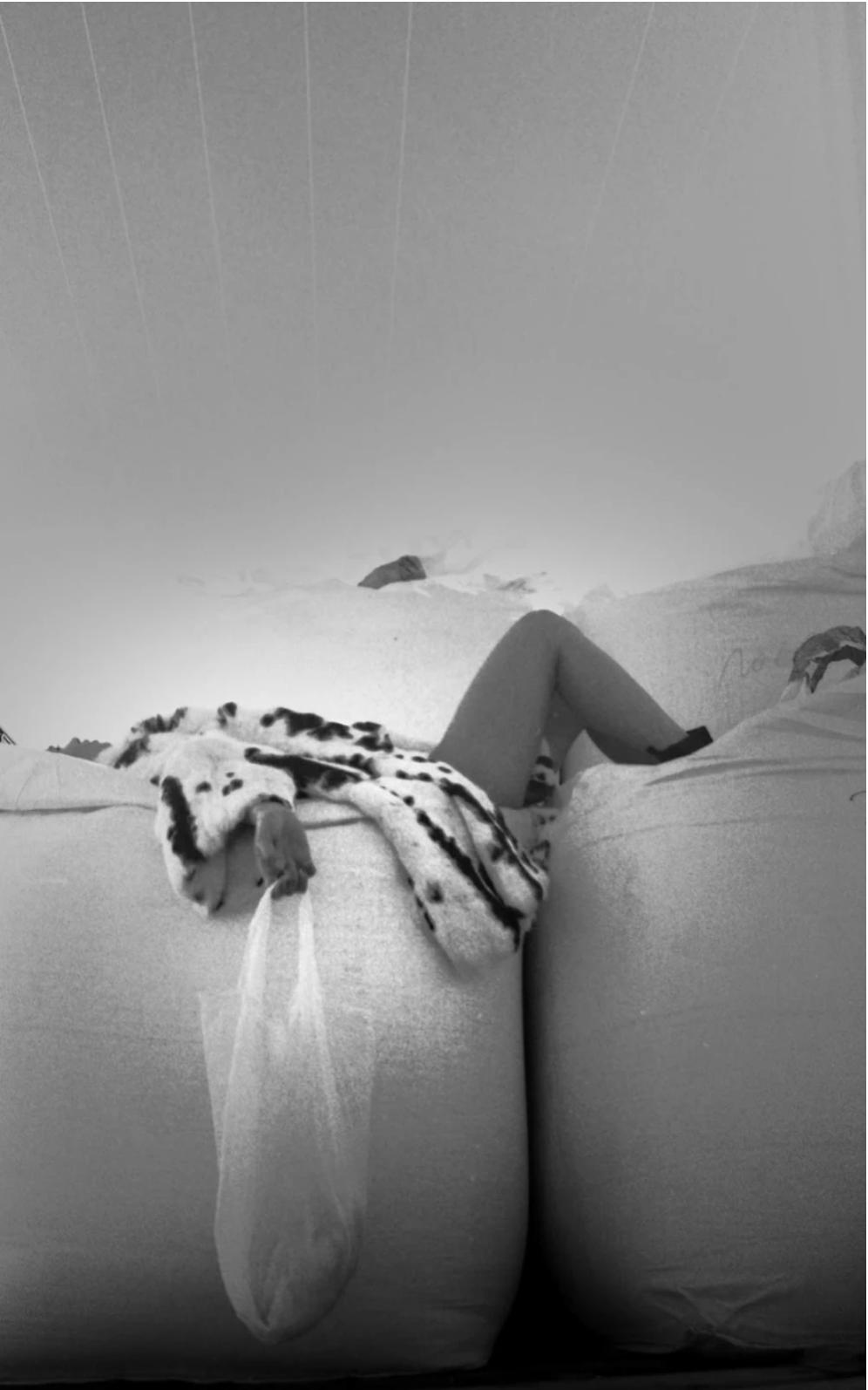 Screenshot 2023-03-15 at 15.40.57.png