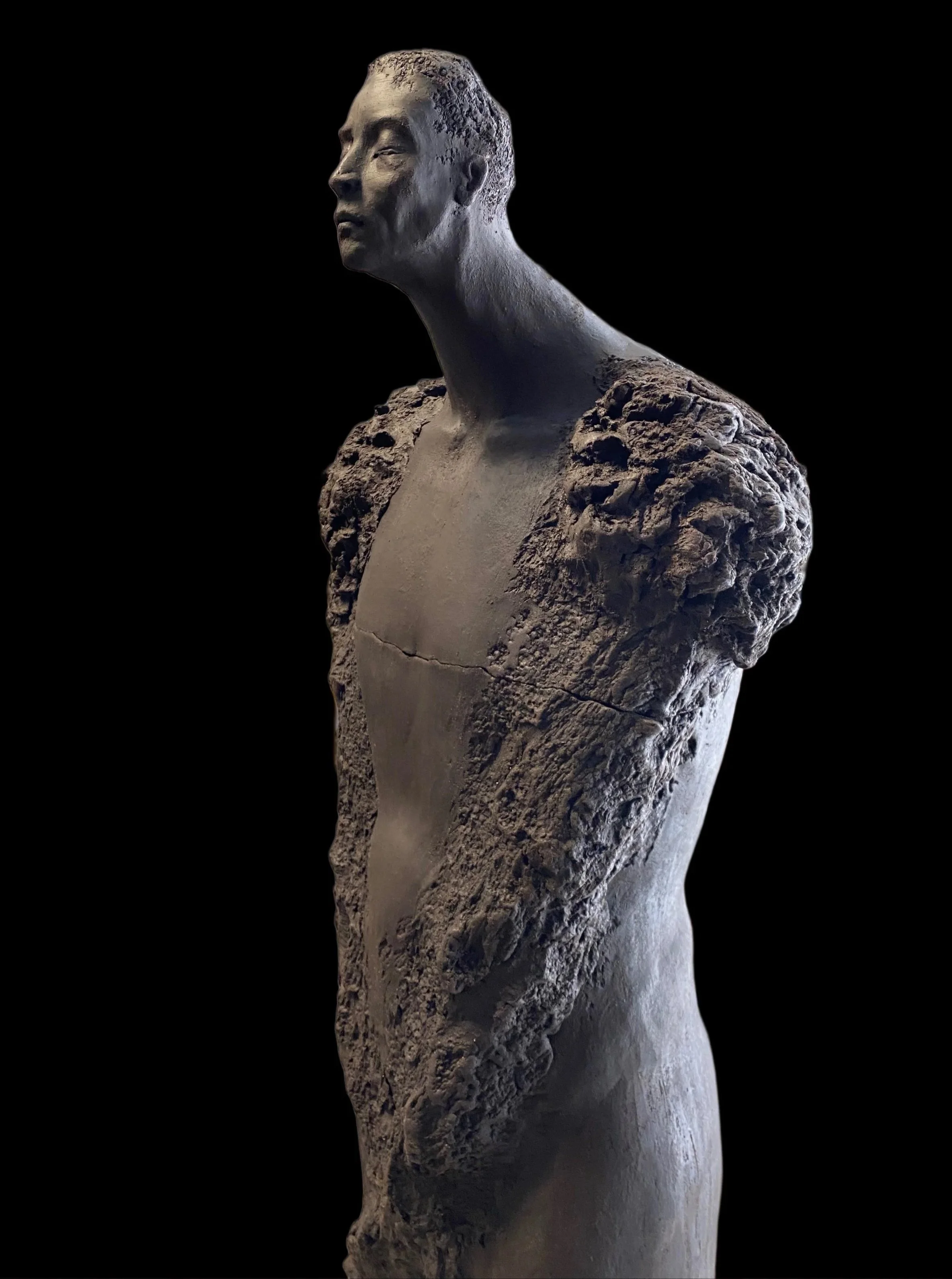 L'homme dans l'oiseau2.jpg