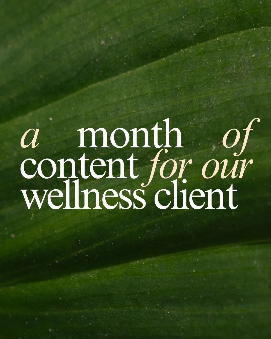 A peek into some of the graphics we created for our client, Shaklee. 

Looking for a content partner who gets it? Let's talk about building your monthly content engine. 

#contentmarketing #wellnessbrands #marketing #graphicdesign #contentmarketingag