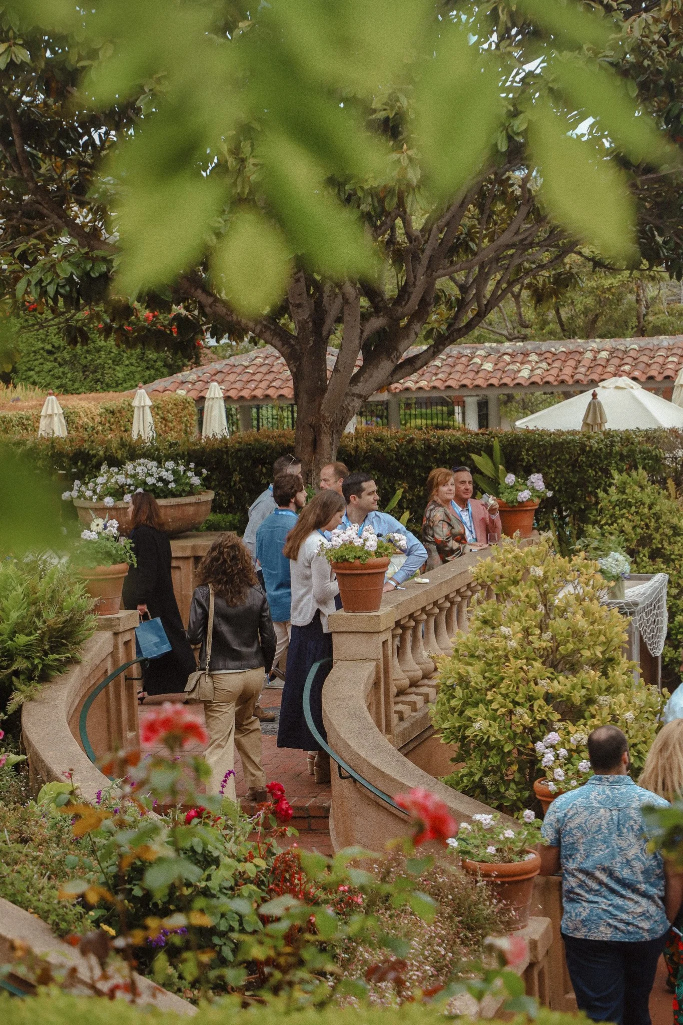 carmel-by-the-sea-influencer-collaboration-content.jpg