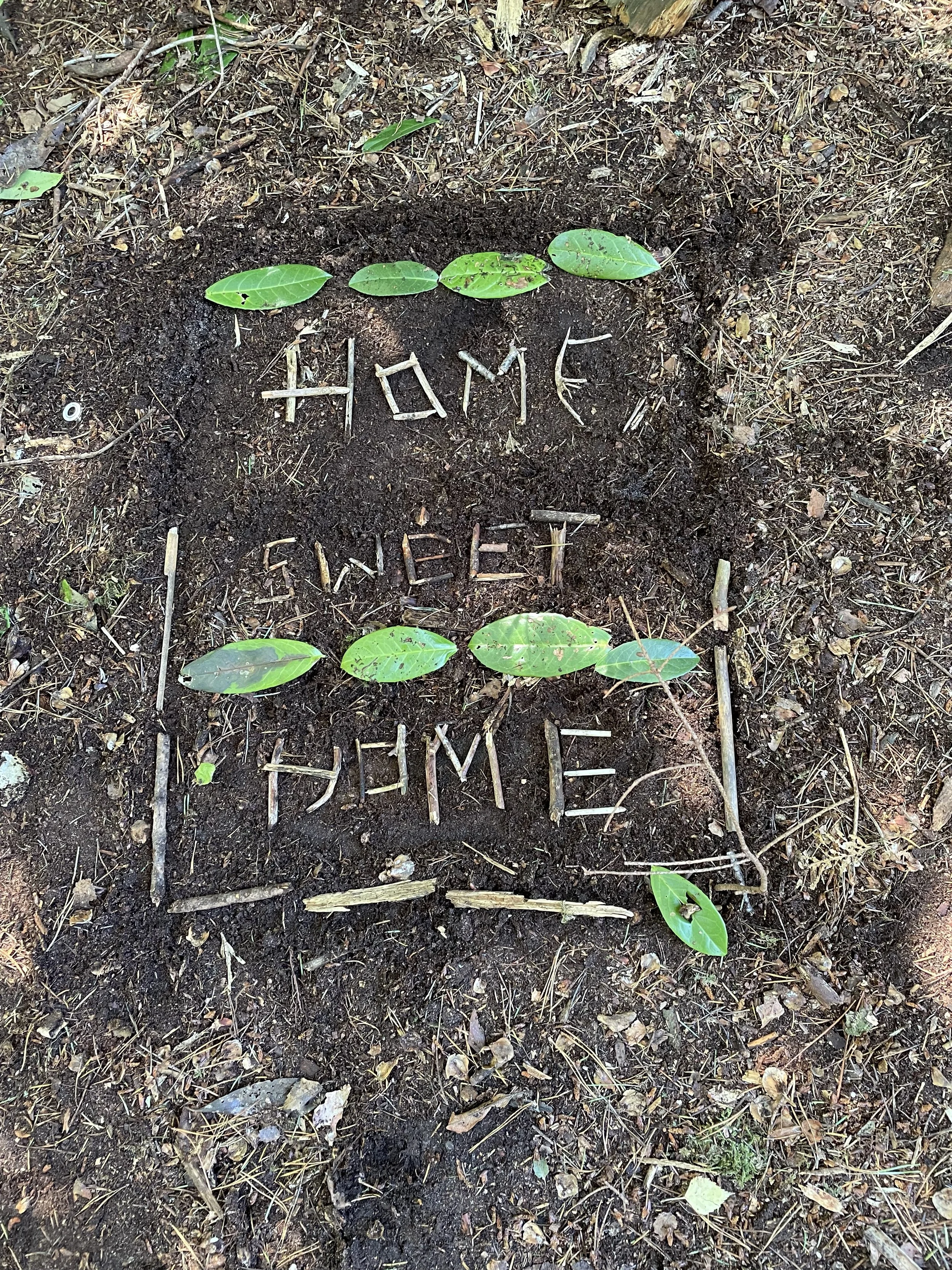 Year 10 Adventure Camp: Scaling New Heights and Building Stronger Bonds