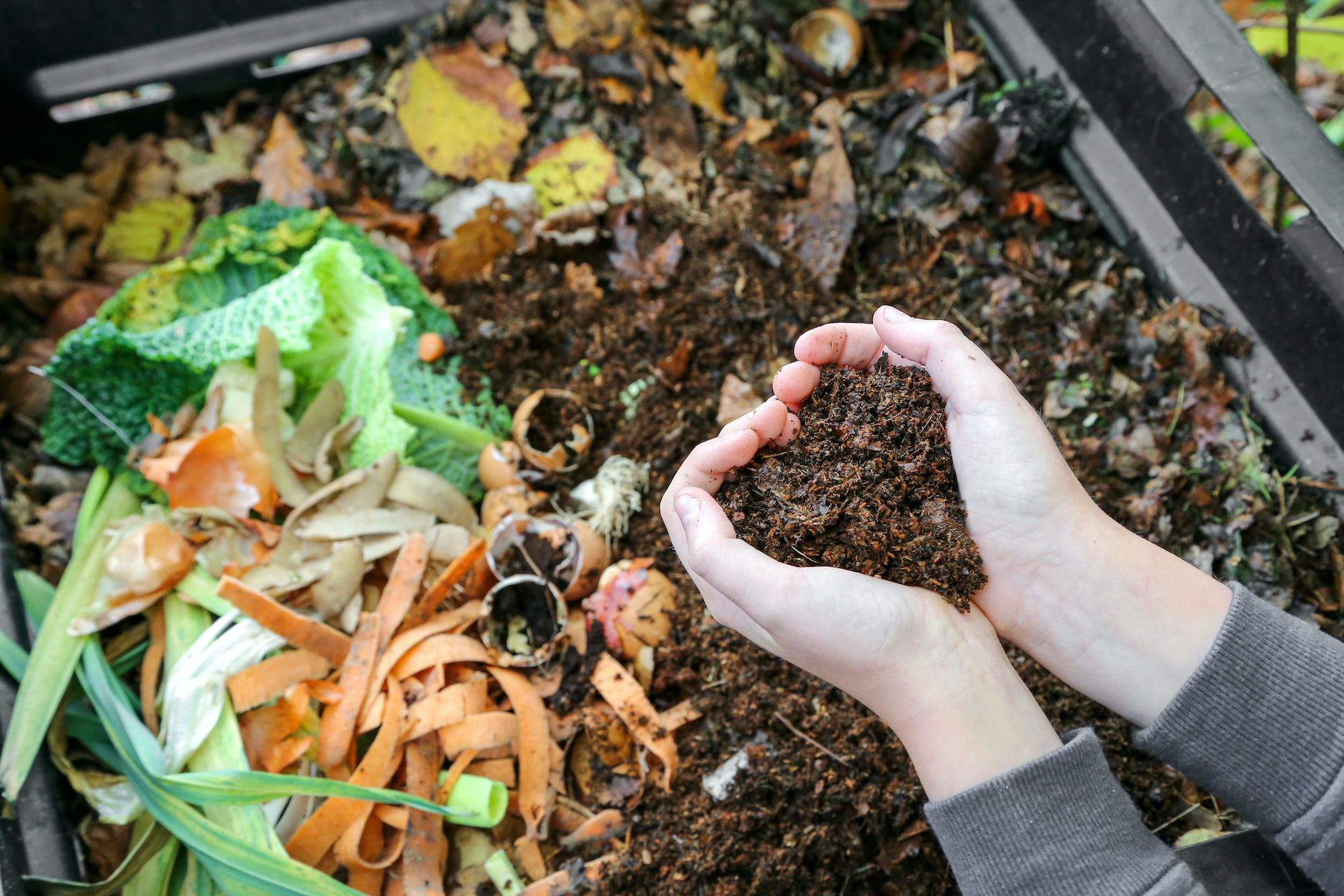 Introduction to composting - family friendly workshop