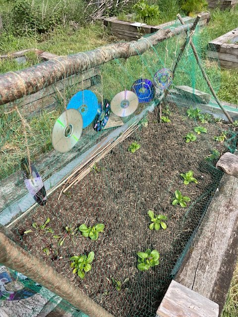 Gardening Club for home educating families