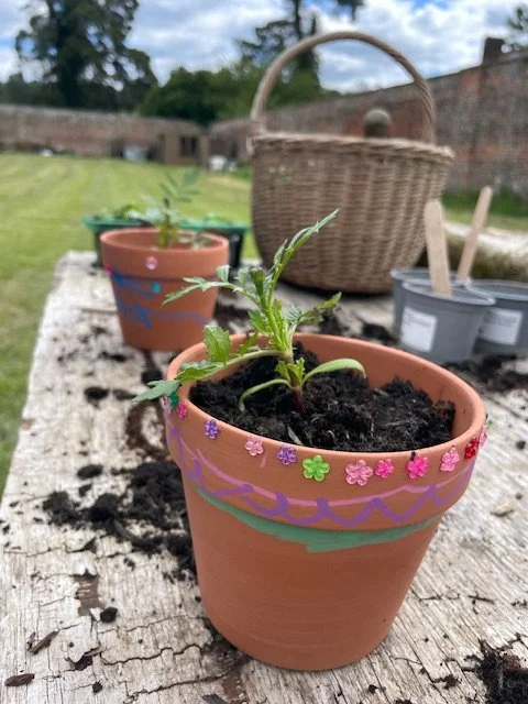 Gardening Club for home educating families