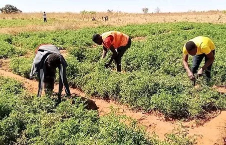 Le chiffre d’affaires de la BAD en Angola a atteint environ un milliard de dollars