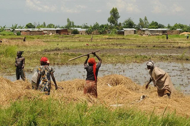 Burundi : léger rebond de l'économie attendu en 2024, selon le FMI&nbsp;