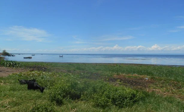 RDC : Des ONG environnementales contre l'exploitation du pétrole dans le lac Albert