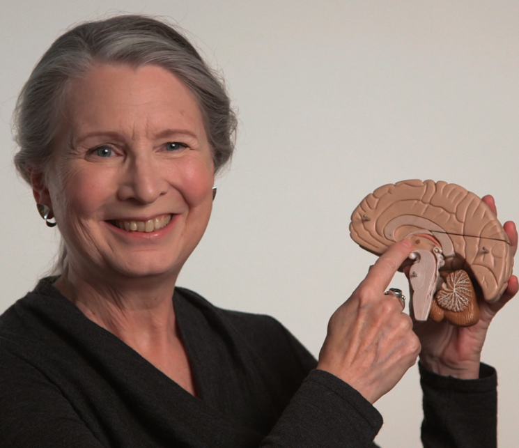 Interview: Lucy Brown, Neurowissenschaftlerin und Trennungsforscherin