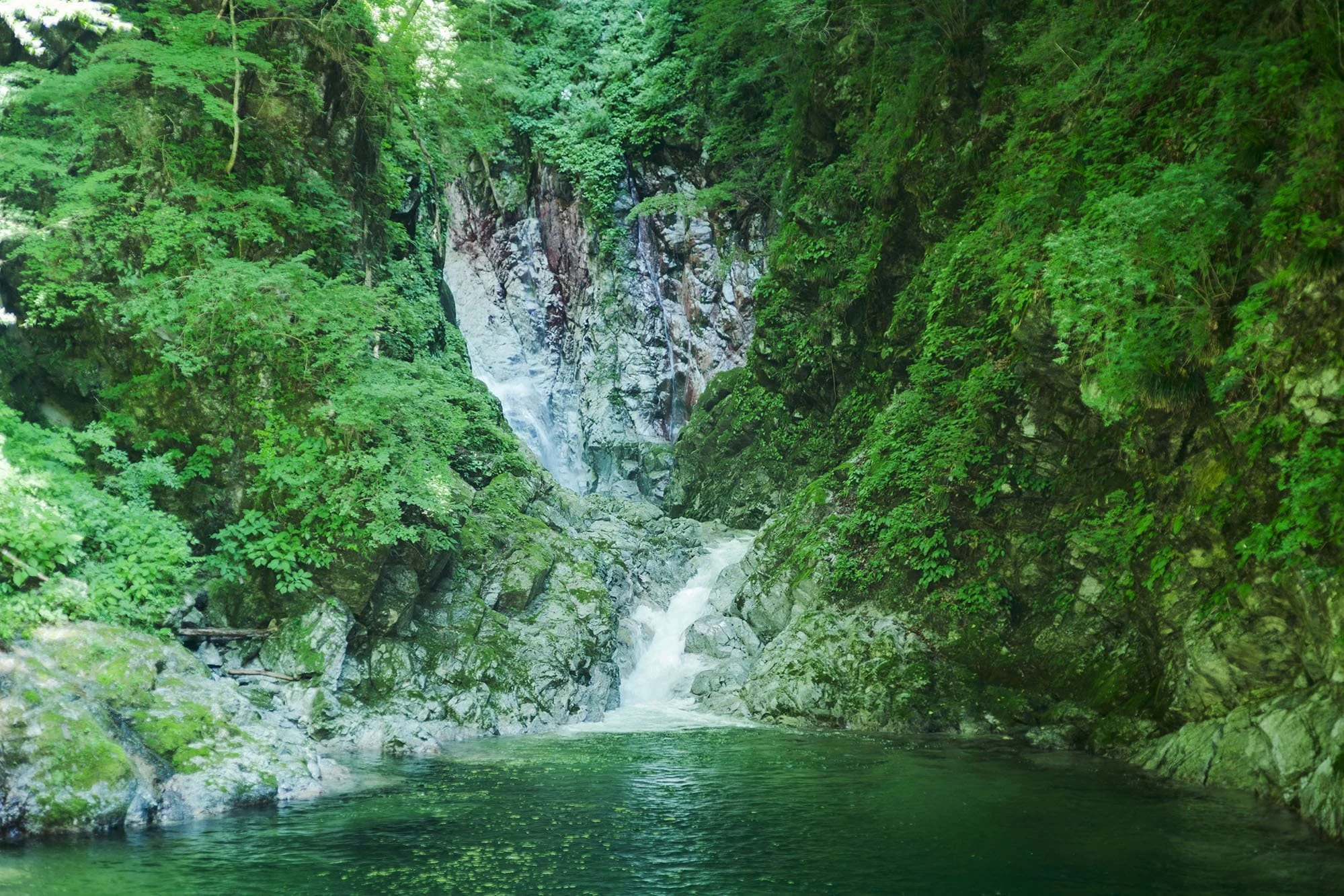 DSC01952_72dpi (1).jpg
