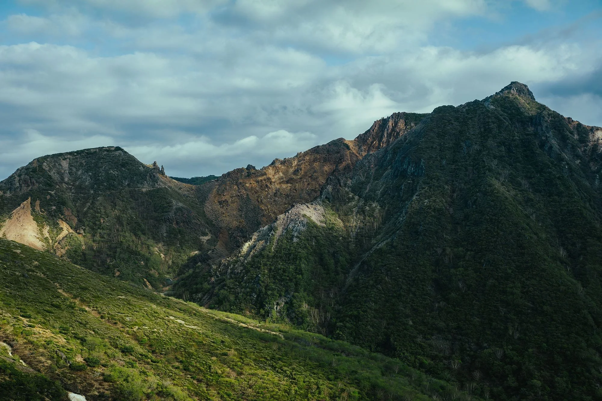 JUI_Nasu_A008C0082_240522_UJRB_72dpi (1).jpg